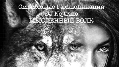 DJ Nejtrino – Мысленный волк клип песни смотреть онлайн бесплатно картинки