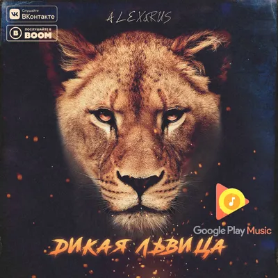 Дикая львица — ALEX\u0026RUS | Last.fm картинки