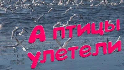 Сергей Одинцов - А Птицы Улетели Скачать песню или слушать онлайн картинки