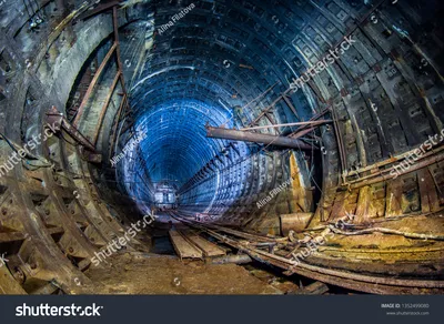 Old Underground Tunnel Basement Under Plant Stock Photo 1343445524 |  Shutterstock картинки