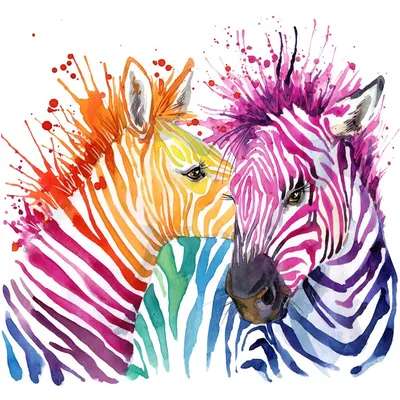 Zebra Wallpapers Hd Zebra Animal Wallpaper Download - Zebra Wallpaper Hd - 1280x800 Обои - teahub.io картинки