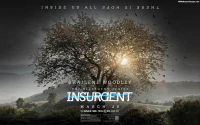 802126 The Divergent Series: Insurgent, Men - Rare Gallery HD Wallpapers картинки