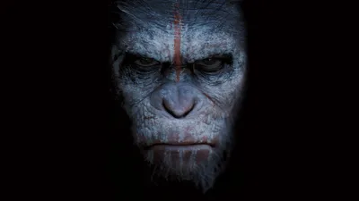 Planet of the Apes Wallpapers - Топ бесплатных фонов Planet of the Apes картинки