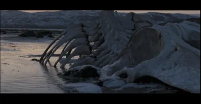 Leviathan (Russian: Левиафан) is a 2014 Russian drama film directed by  Andrey Zvyagintsev | Leviathan, Cinema posters, Cinematography картинки