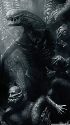 Обои для рабочего стола Alien Covenant Movie Ultra HD для 4K UHD TV: широкоэкранный \ u0026 UltraWide Desktop \ u0026 портативный компьютер : Multi Display, Dual \ u0026 Triple Monitor : Tablet : Smartphone картинки