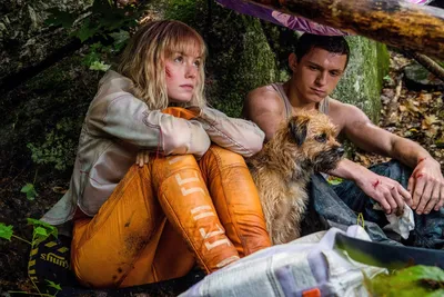 Chaos Walking: различия между книгами и фильмами картинки