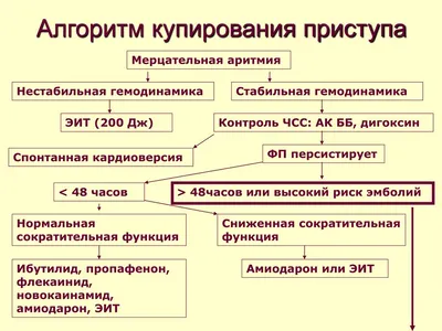 PPT - Купирование приступа мерцательной аритмии В.В.Щекотов 26 сентября  2008 PowerPoint Presentation - ID:3826339 картинки