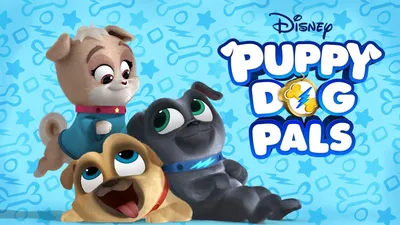 PAINEL PUPPY DOG PALS 1,00X0,70 нет Elo7 | Fera Sinalização (172DA2F) картинки