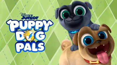 Disney+ on Twitter: \"Puppy Dog Pals (2017) https://t.co/zDNK4ZUzpH\" / Twitter картинки