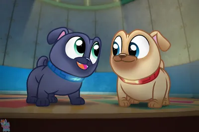 Puppy Dog Pals на миссии от RainbowEeveeDE на Newgrounds картинки