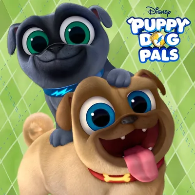 Puppy Dog Pals на канале Disney и в приложении Disney Junior! Присоединяйтесь к Бинго и Ролли во всех их безумных приключениях! | Щенки, День рождения собаки, Собаки и щенки картинки