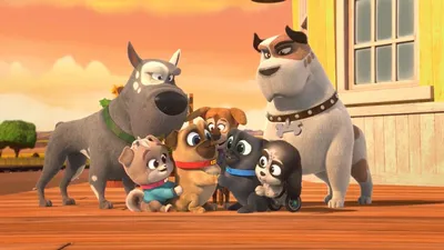 Puppy Dog Pals\" Щенки на параде / Обещание поп-музыки (ТВ, 2020) — КиноПоиск картинки