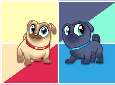 Бинго Ролли дизайн (Puppy Dog Pals) | Младшие малыши Disney, Собаки и щенки, Щенки картинки