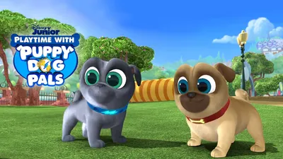 Disney Playtime with Puppy Dog Pals (короткометражки) — потоковое видео сезона от Disney+ Hotstar картинки