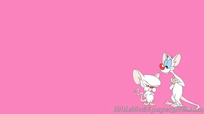 Just Say Narf — Pinky and the Brain [CC] — YouTube картинки