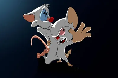 Скачать обои Pinky And The Brain для американского телевидения картинки