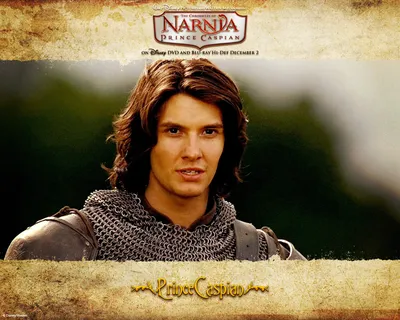 Prince Caspian - Хроники Нарнии Обои (6899706) - Fanpop картинки