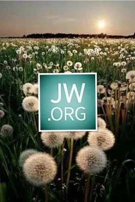 Пин на доске jw.org картинки