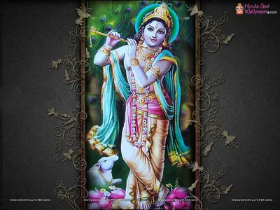 Купить 3D обои Lord Krishna Mural Blue Non Wooven Paper в 999Store Online - 3D Обои - Обои - Мебель - Продукт Pepperfry картинки