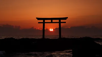 Torii Gate 4K Wallpapers - Лучшие бесплатные обои Torii Gate 4K картинки