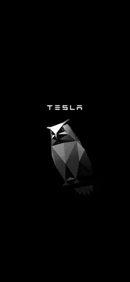 Анимированный, минималистский Cybertruck Owl iPhone обои: r/teslamotors картинки