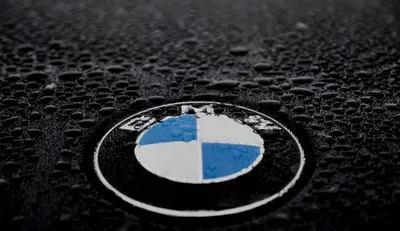 Логотип BMW Обои картинки