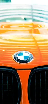 Bmw Logo Сборка фона Iphone Сборка фона Iphone Tablet Сборка фона Фото от Renard44 | Fans teilen Deutschland Bilder картинки