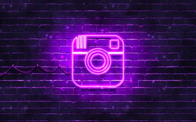 Instagram неоновый логотип HD обои картинки