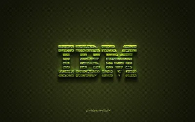 Скачать обои IBM logo, green creative logo, flower art logo, IBM embemble, green carbon fiber texture, IBM, creative art для монитора с разрешением 2560x1600. Высококачественные обои HD картинки картинки