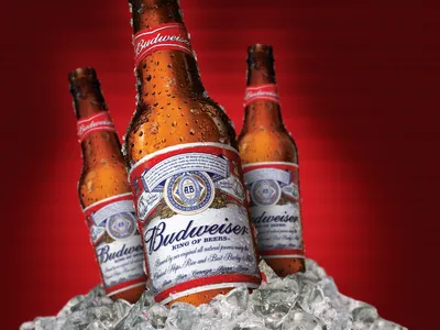 Обои с логотипом Budweiser картинки