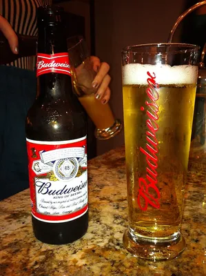 Скачать обои с цифровым логотипом Budweiser картинки