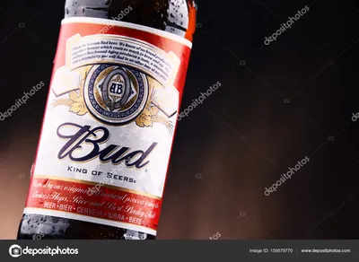 Budweiser, Coors Light, Bud Light возглавляют список самых продаваемых сортов пива в Америке картинки