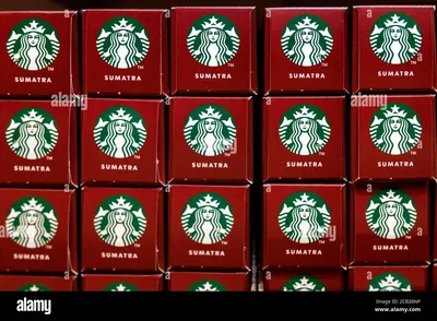 ИСТОРИЯ УСПЕХА STARBUCKS картинки