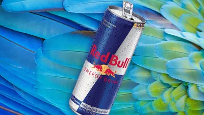 Red Bull Logo Wallpaper Hd For Kids - Red Bull Gold Can - (1600x1451) PNG Клипарт Скачать картинки