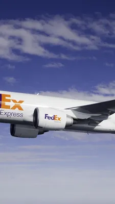 Бренд и бизнес: FedEx продвигает трансграничную электронную торговлю на юге Филиппин и в Азии — Интернет-журнал adobo картинки