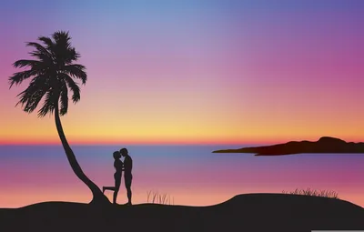 Wallpaper sunset, Palma, romance, pair, silhouettes, lovers, composition  images for desktop, section настроения - download картинки