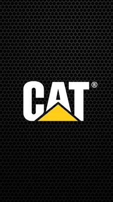 Обои Caterpillar \ u0026 Виртуальные фоны | Кошка | Гусеница картинки