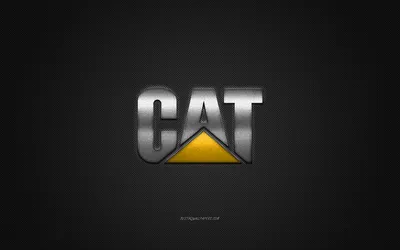 Herunterladenhintergrundbildcat-logo, silber-logo, graue kohlefaserhintergrund, caterpillar-logo, cat-metall-emblem, cat, autos marken, caterpillar, kreative kunst, эмблема caterpillar mit einer auflösung zu überwachen 2560x1600. Изображение на рабочем столе картинки