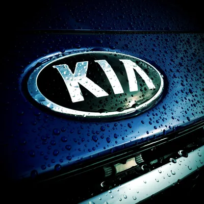 Kia представляет ребрендинг с совершенно другим дизайном логотипа, напоминающим рукописную подпись картинки