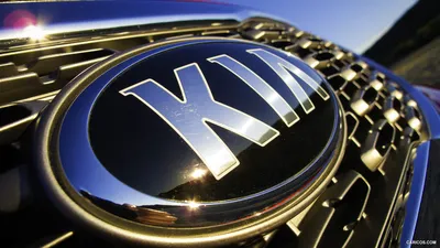 Логотип Kia, значение и история символа автомобиля Kia картинки