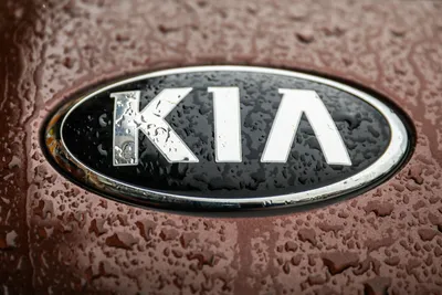 KIA Motors предупреждает, что тысячи внедорожников могут стать пожарными картинки