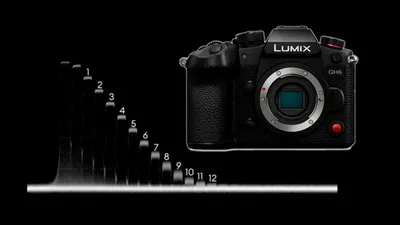 Panasonic представил: Kleinbildspiegellose Lumix S1R с 47-мегапиксельной камерой и S1 с 24-мегапиксельной камерой | фотоскала картинки