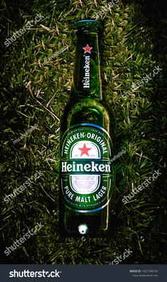 Heineken Beer Beverages Обои Бутылка Heineken Фото 1427786795 | Шаттерсток картинки