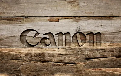 Скачать обои Canon wood logo, 4K, wood backgrounds, brands, Canon logo, creative, wood carving, Canon для монитора с разрешением 3840x2400. Высококачественные обои HD картинки картинки