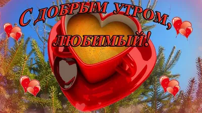 ❤️❤️❤️Доброе утро, любимый❤️❤️❤️ С добрым утром мой родной! - YouTube картинки