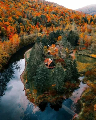 Дома внутри природы, рядом с природой и на фоне природы - 12 замечательных  фотографий (Часть 8) | Частная Архитектура | Дзен картинки