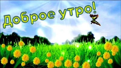 Доброе утро! Музыкальное пожелание с Добрым утром и хорошим днем! Красив...  | Доброе утро, Открытки, Лето картинки