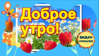 Доброе утро! Музыкальное пожелание с Добрым утром и хорошим днем! Красивая  видео открытка для друзей - YouTube картинки