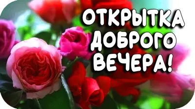 Видеооткрытка Добрый вечер! Самая Красивая Открытка С Добрым Вечером!  Хорошего вечера! картинки