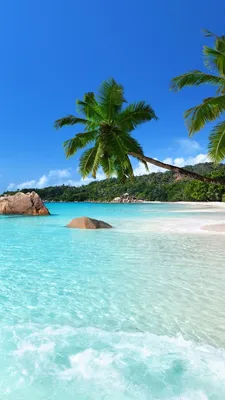 Картинки лето на заставку телефона (50 фото) • Прикольные картинки и  позитив | Tropical island beach, Beach wallpaper, Vacation spots картинки